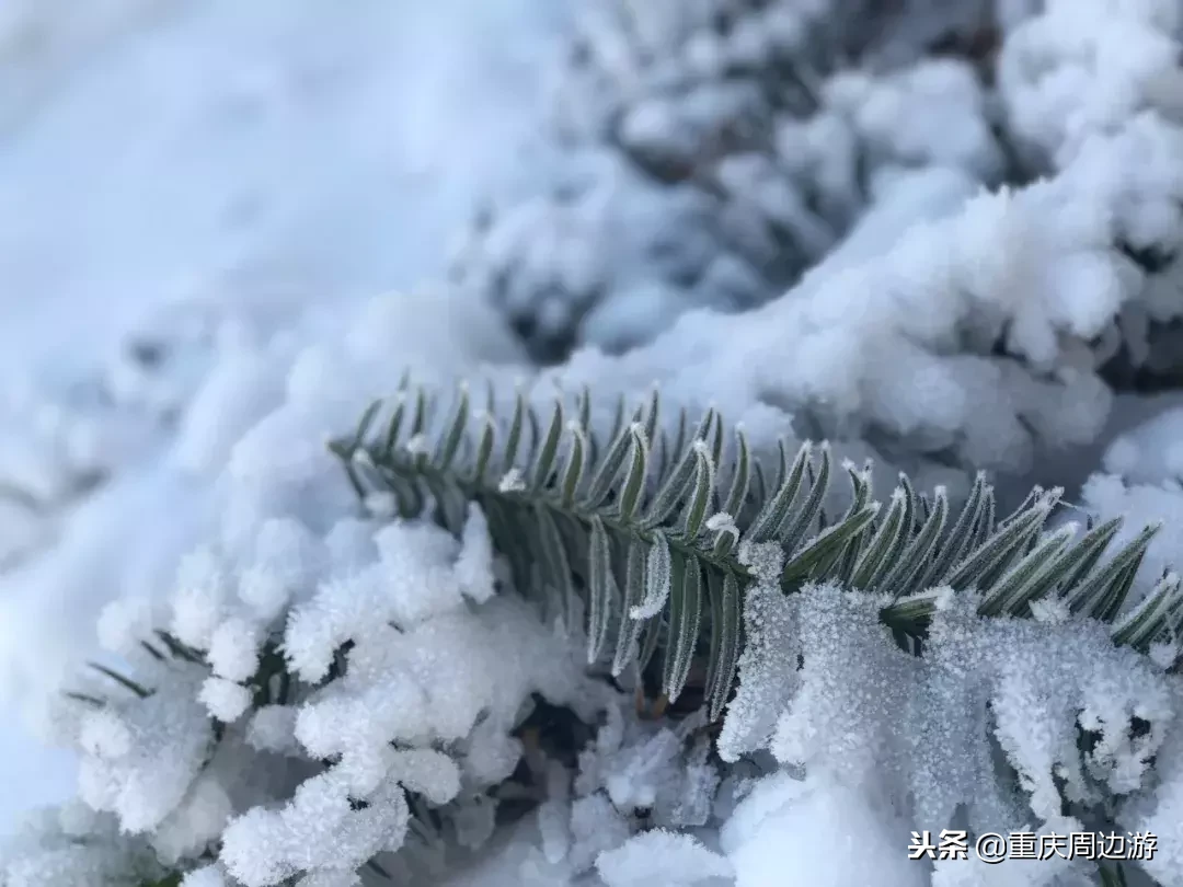 恭喜重庆又喜提一个4A景区！风车云海、日出星空，元旦去还可耍雪