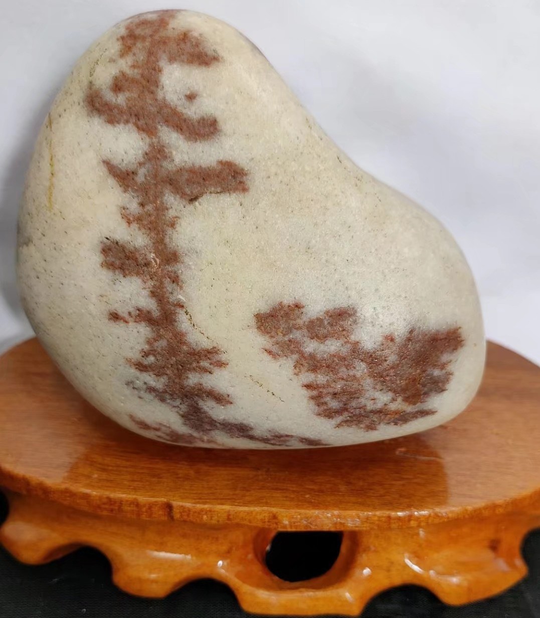 黄河石头鱼怎么养不容易死「记得收藏」 -骁龙网