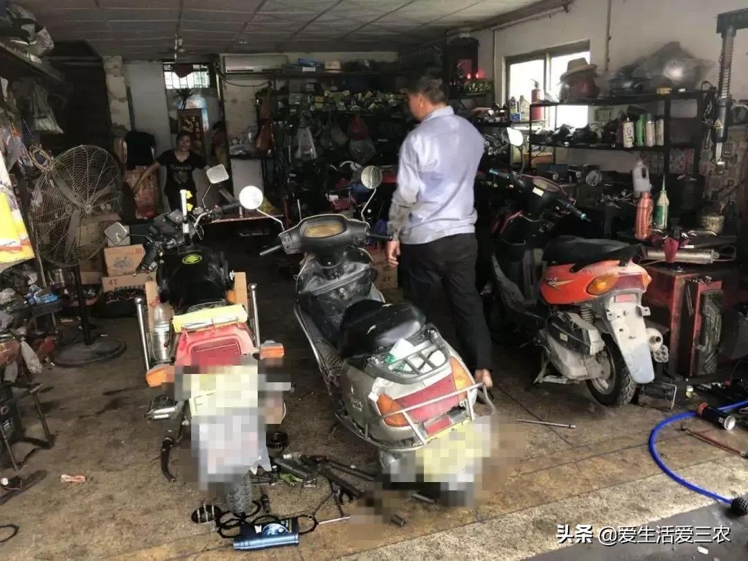 农业小项目，也能挣大钱，这些偏门小生意原来真的很挣钱！