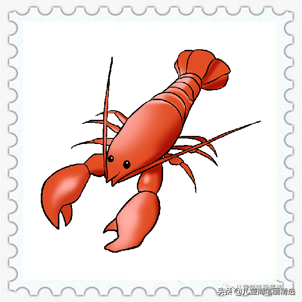 儿童简笔画精选-如何画一只龙虾（Lobster）