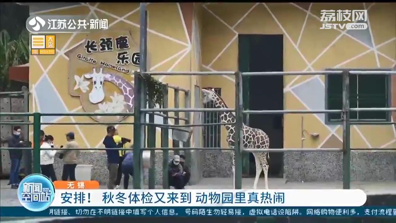 秋冬体检又来到 无锡动物园里真热闹