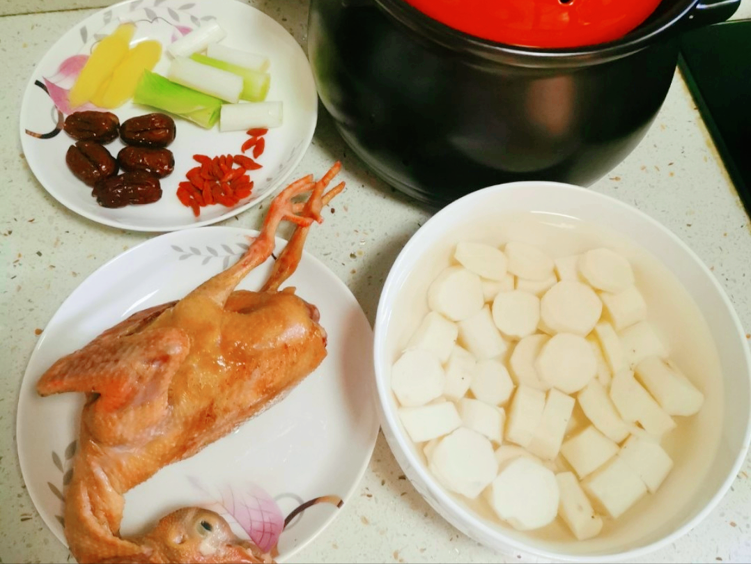 鴿子燉湯,鴿子燉湯怎么做好吃