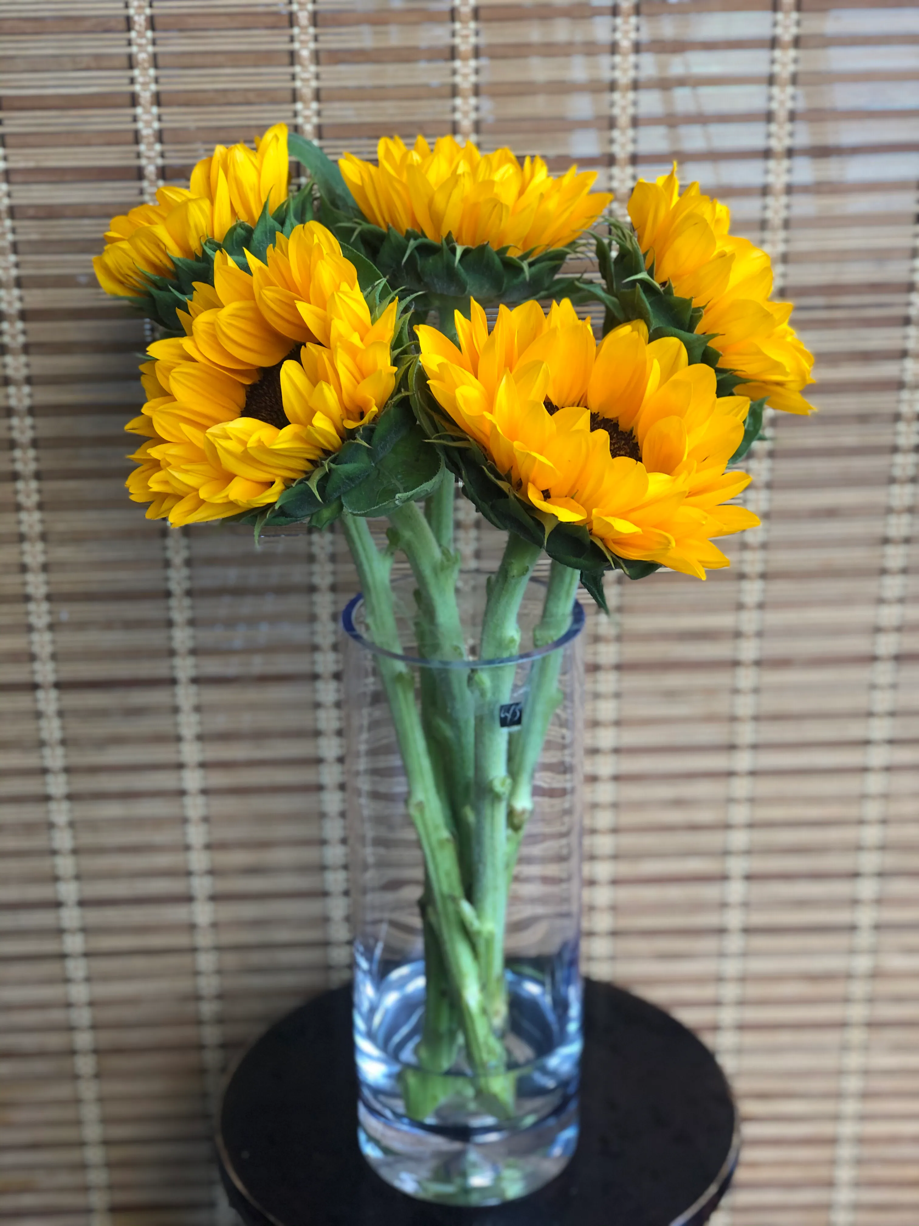 大嘴花向日葵怎么养忌讳什么精心整理