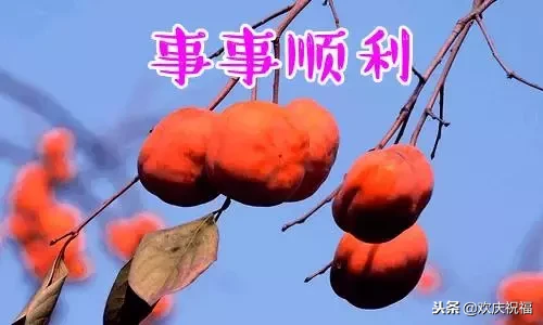 《2019新年贺卡》,致我所有的微信好友!