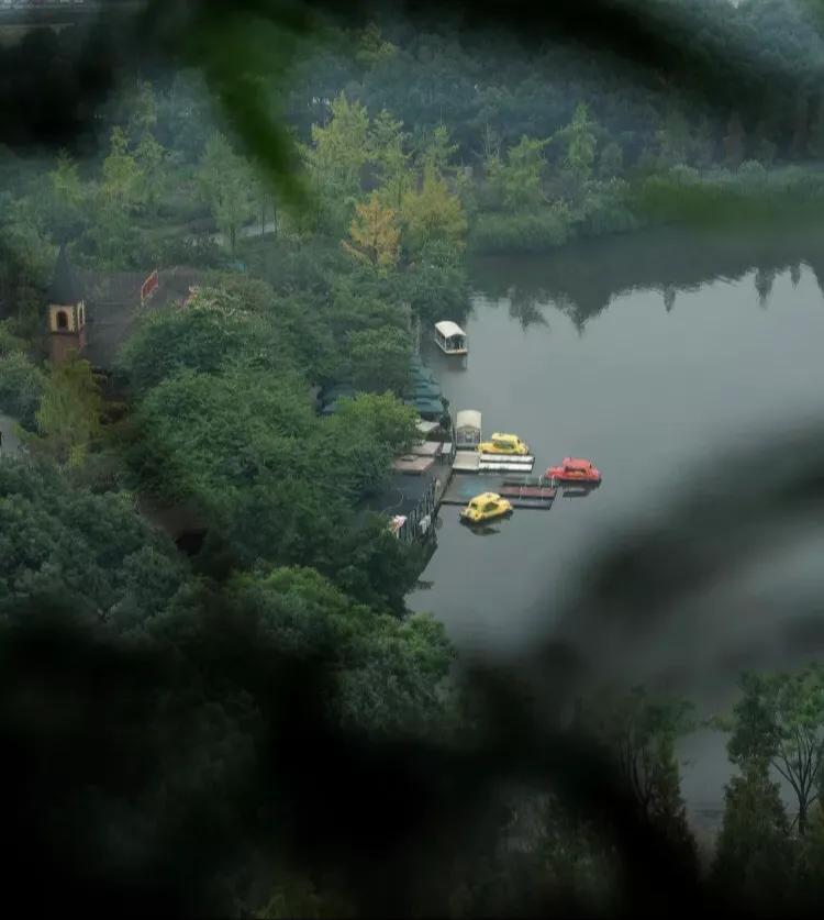 成都阿姨的极简之家，年轻人看完要“尖叫”的那种，我不喜欢都难