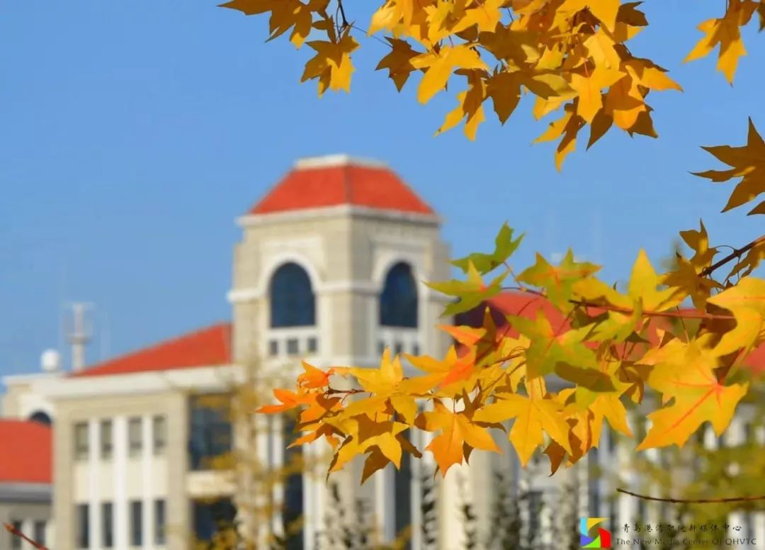 选择爱上青岛港湾职院，这八大理由足矣