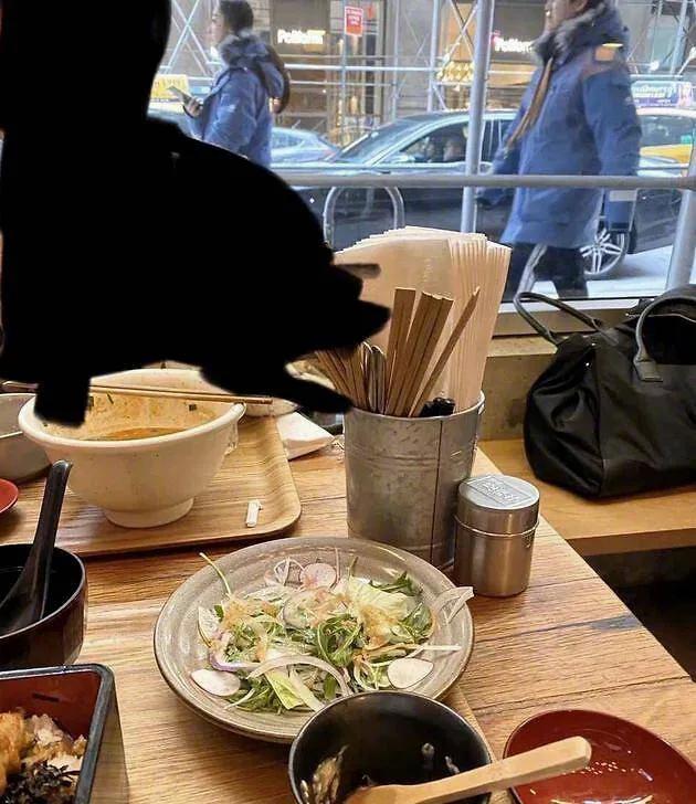 盘点尹正被曝光的三段疑似恋情，除了陈都灵，还有蒋梦婕和张蓝心