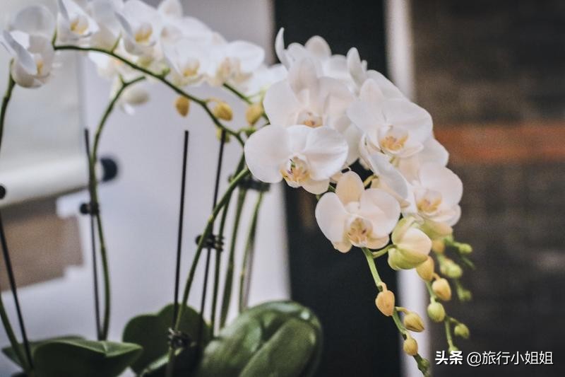 藏在石库门里的中式美学酒店：铂萃酒店·申味