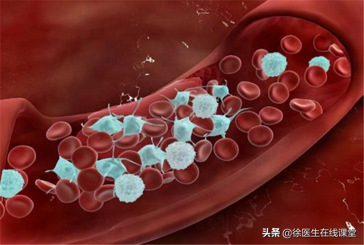 血型真的决定寿命？A型、B型、AB型、O型，哪种血型更长寿？