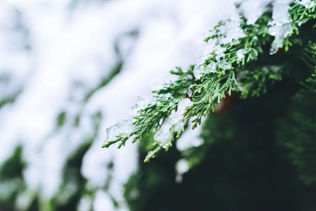 雪诗配雪景，与您尽赏冬雪之美