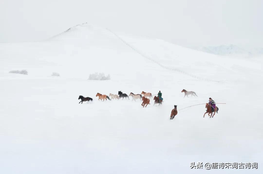 雪，亦是春色