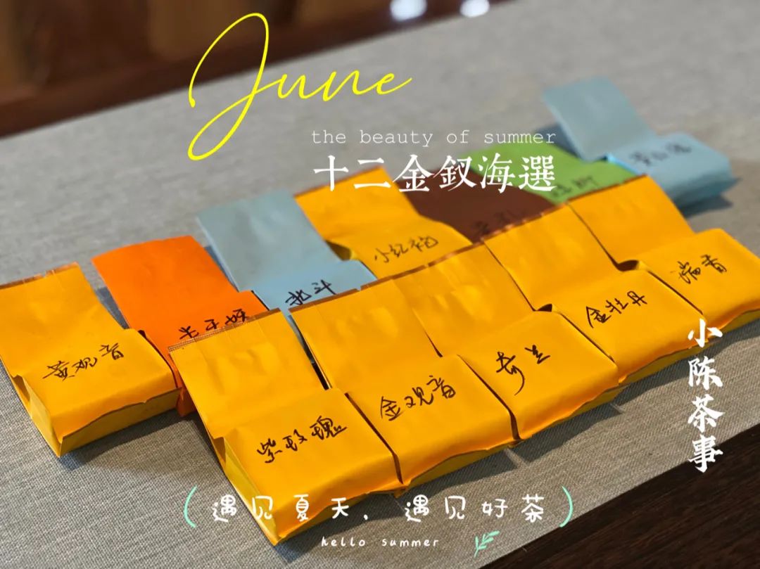 武夷岩茶十二金钗，这一次，我们准备了哪些好茶等着你？