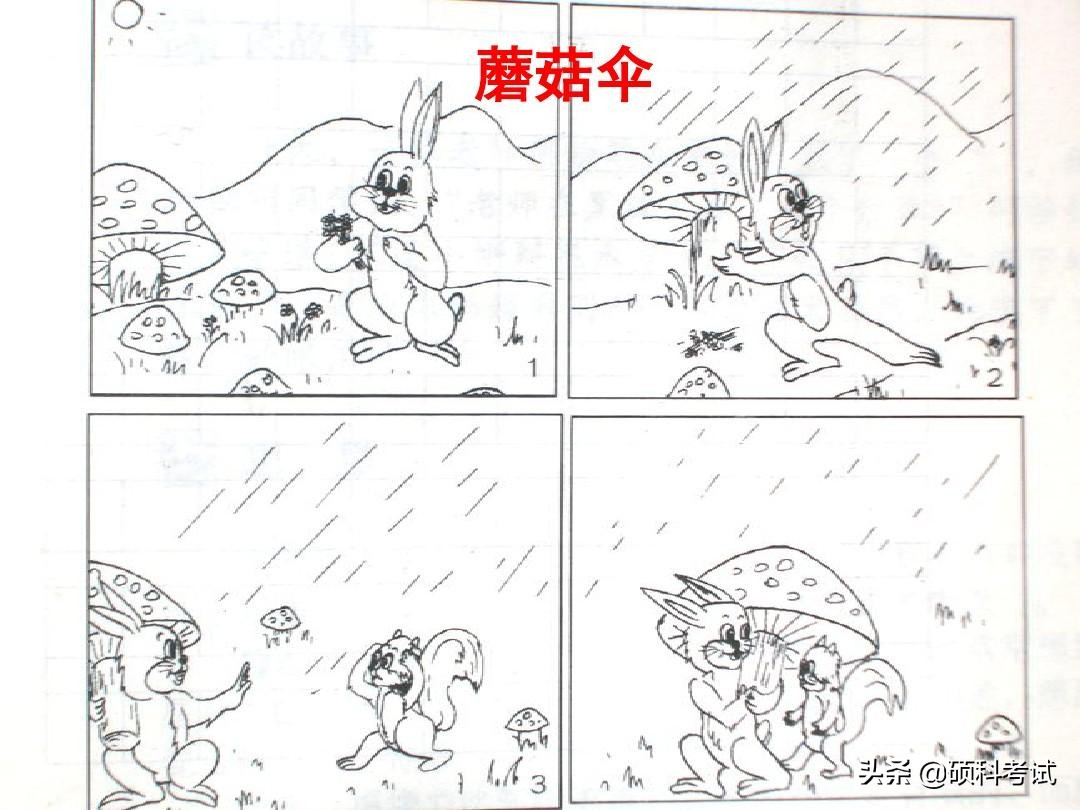 二年级看图写话全集:语文考试满分必备(完整版)附参考范文