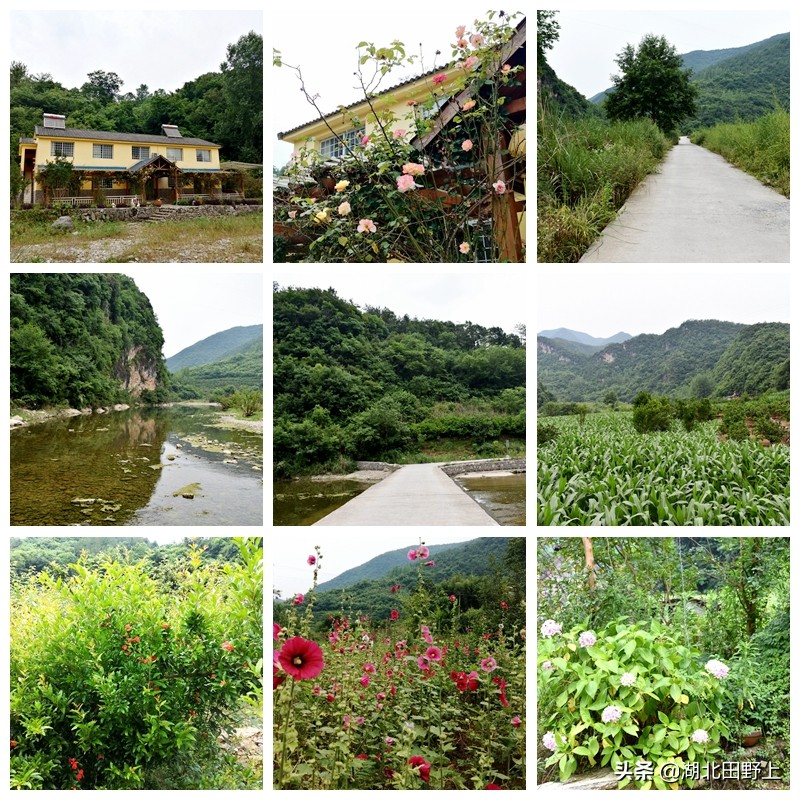 百年石屋南岔灣，鄉(xiāng)村振興在路上——田野上團隊下鄉(xiāng)小記