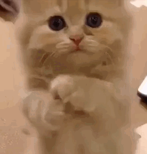 2020版最新法官、检察官表情大全！哈哈哈