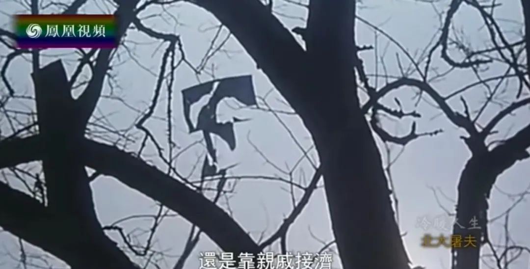 20年过去了，那个北大毕业生，还在卖猪肉