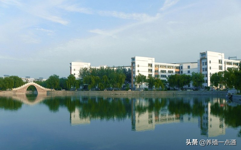 王增裕，青岛农业大学教授、博导，动物科技学院、草业学院院长