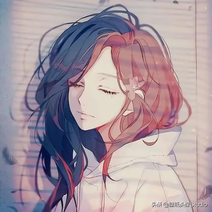 动漫电影剧情头像「解说」