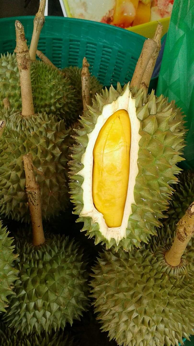 泰国托曼尼榴莲,够黄够色重口味!详细介绍,赶紧收藏