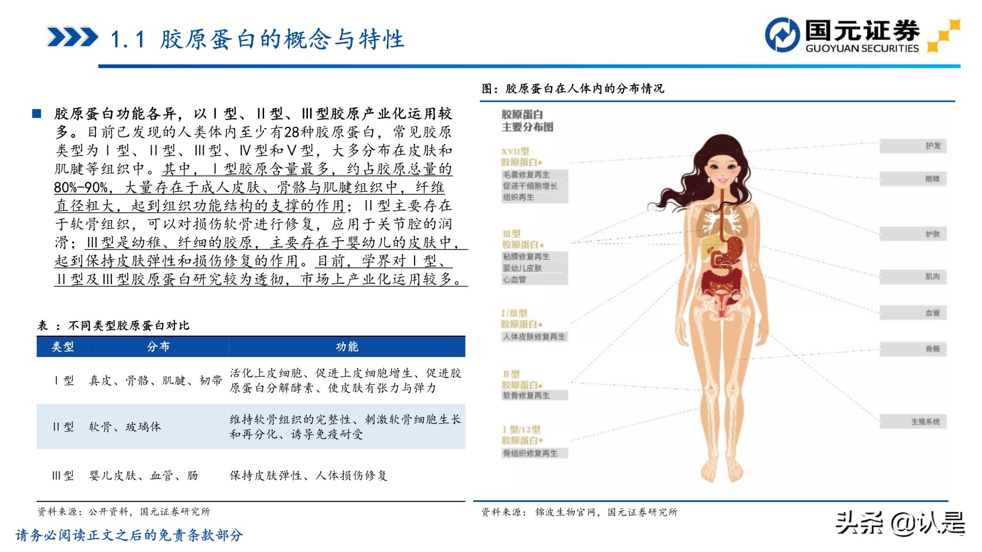胶原蛋白行业研究报告：胶原蛋白风起，颜值经济应用正当时
