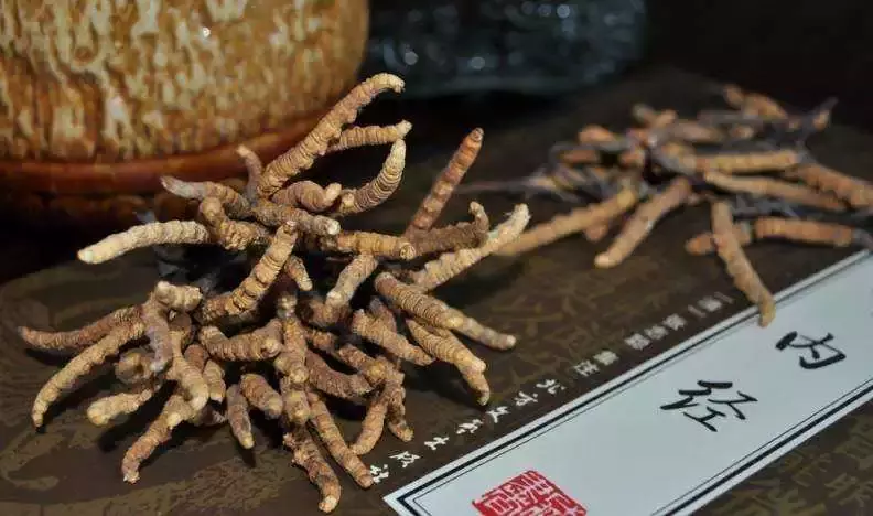 想种植中药材,但不知道种什么?这里有答案