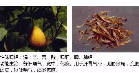 300个中草药图谱（附主治功效），知道一半就太牛了（上）