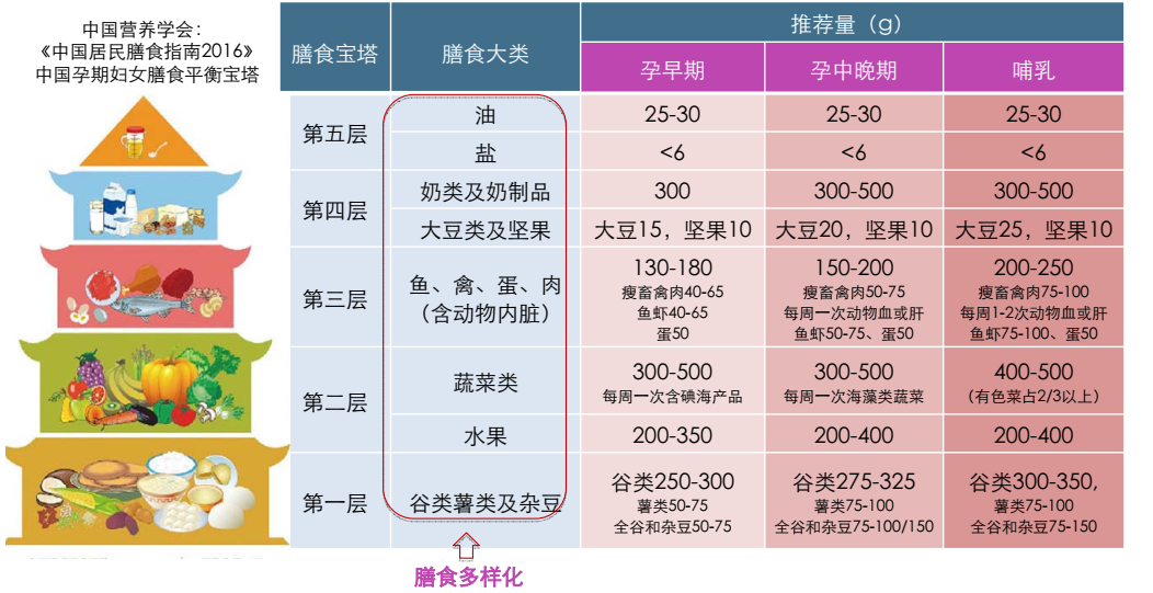 备孕攻略：科学备孕，轻松怀孕