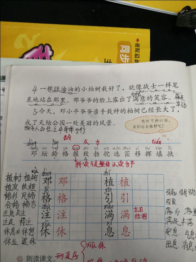 二年级语文下册第四课《邓小平爷爷植树》课文分析
