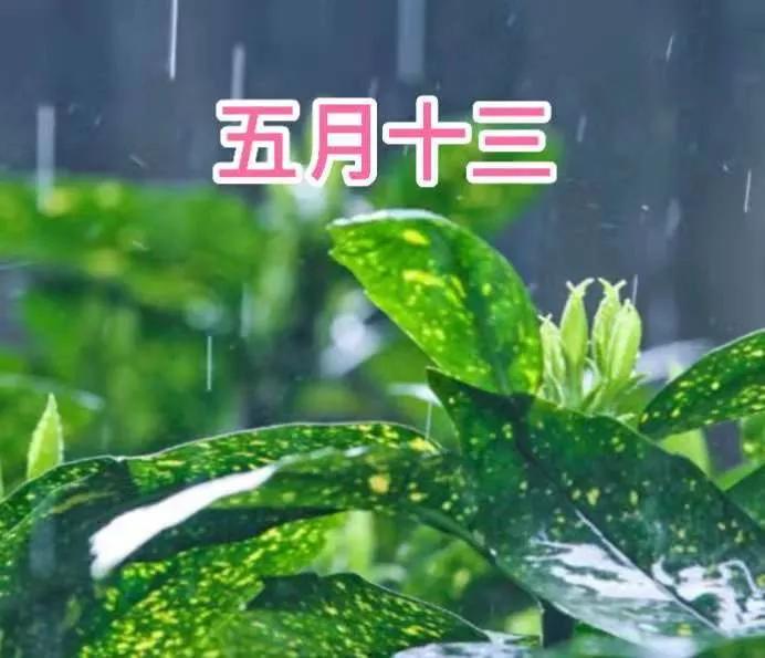 今天五月十四，俗语“不怕五月十三雨，就怕十四断雨脚”，准吗？