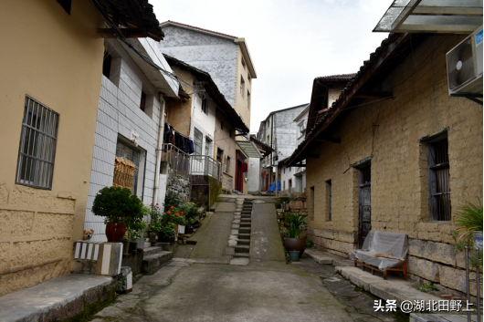 田野上團(tuán)隊(duì)下鄉(xiāng)小記丨走進(jìn)分鄉(xiāng)鎮(zhèn)“窗口”——分鄉(xiāng)場社區(qū)