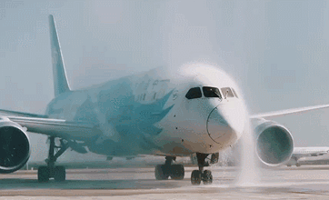 362_220gif 动态图 动图