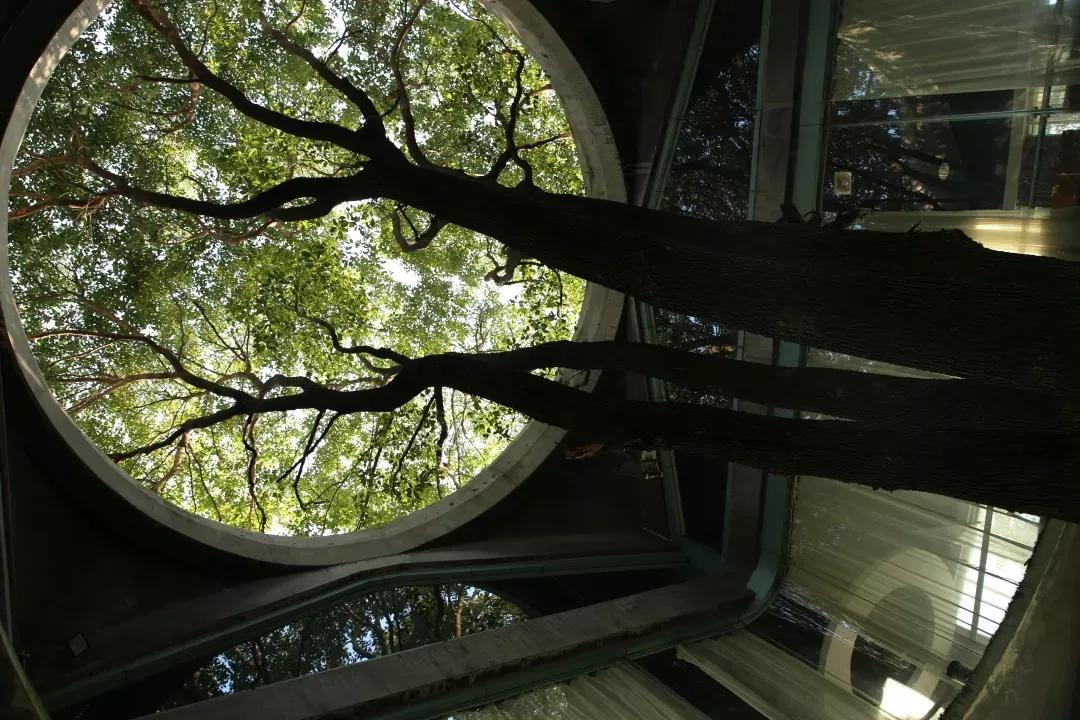 江苏省高校（六十六）苏州大学应用技术学院