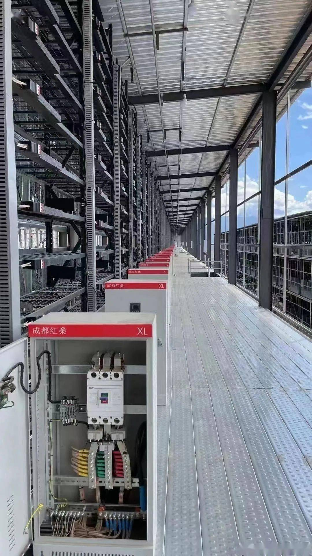 比特币一夜暴跌崩盘！全球最大矿场断电关机，韭菜：都怪中国