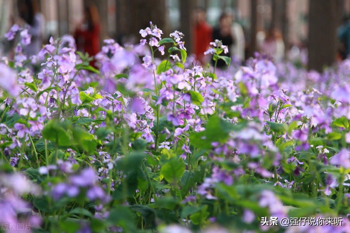 河北这所二本大学招生遇难，外地的考生看不上，本省的考生考不取