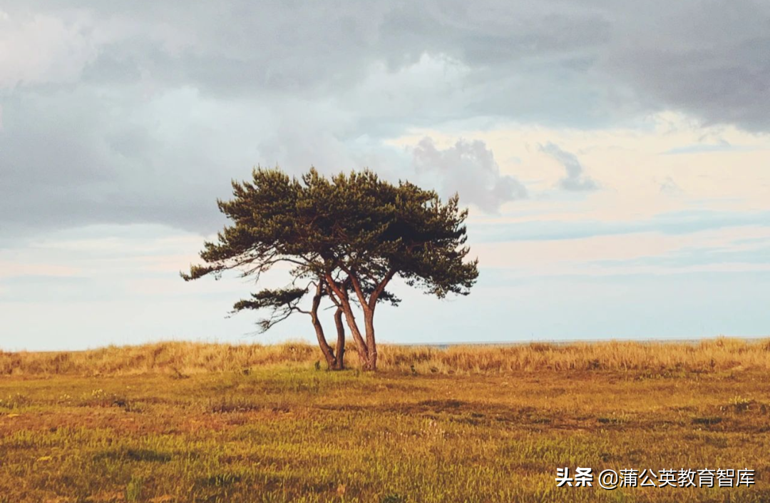 满意度超95%的学校IT服务中心，是怎么架构和运作的？