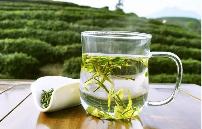 高血糖喝什么茶好？喝绿茶