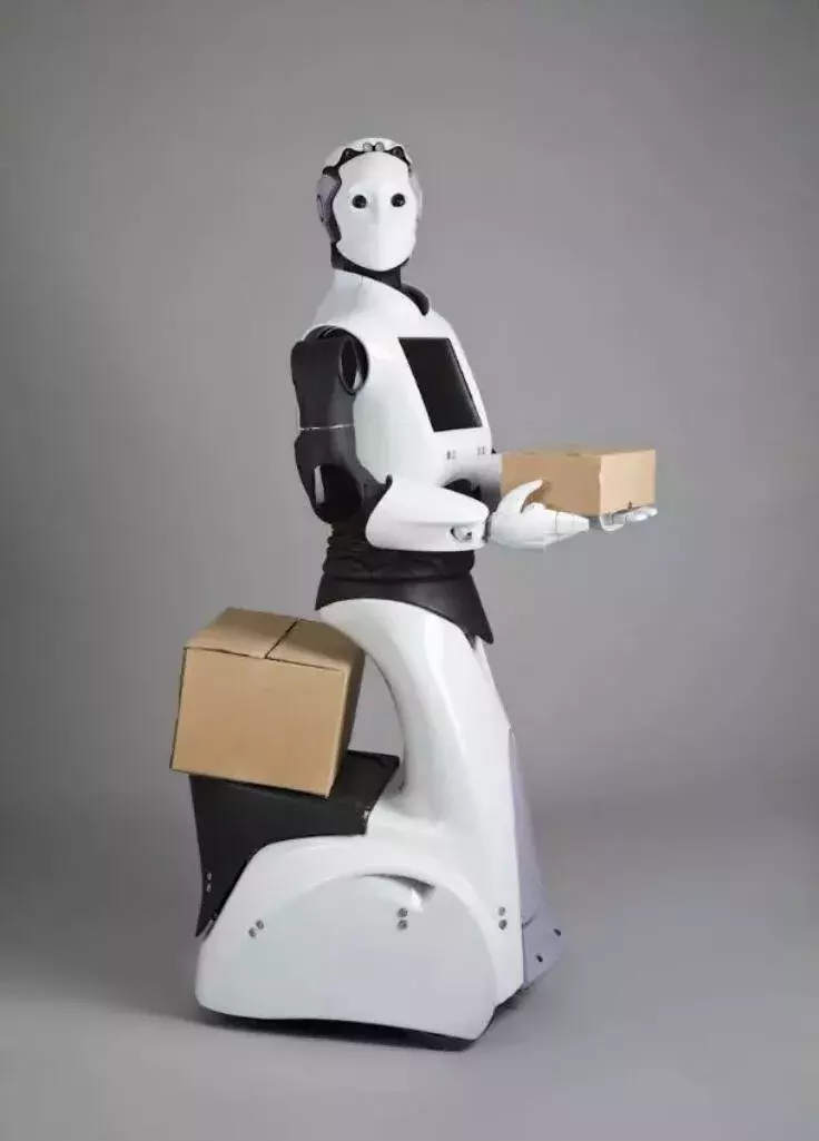 智能机器(类人机器人) - 花开半夏