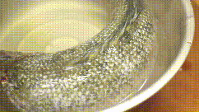 生魚片的做法,生魚片的做法大全家常