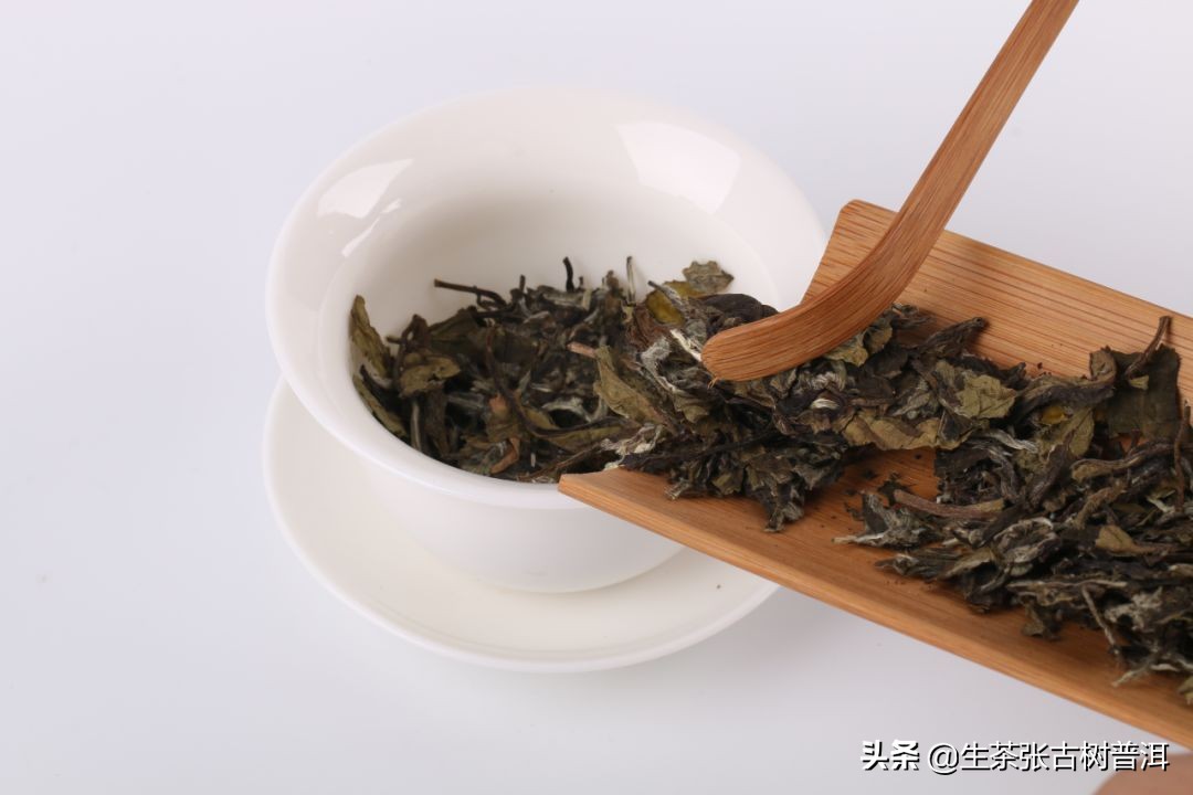 普洱生茶怎么泡更好喝（学会普洱生茶冲泡技巧）