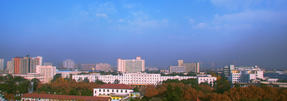 2020年电子科大在四川分专业录取分析，最高分仅清北复交不能进