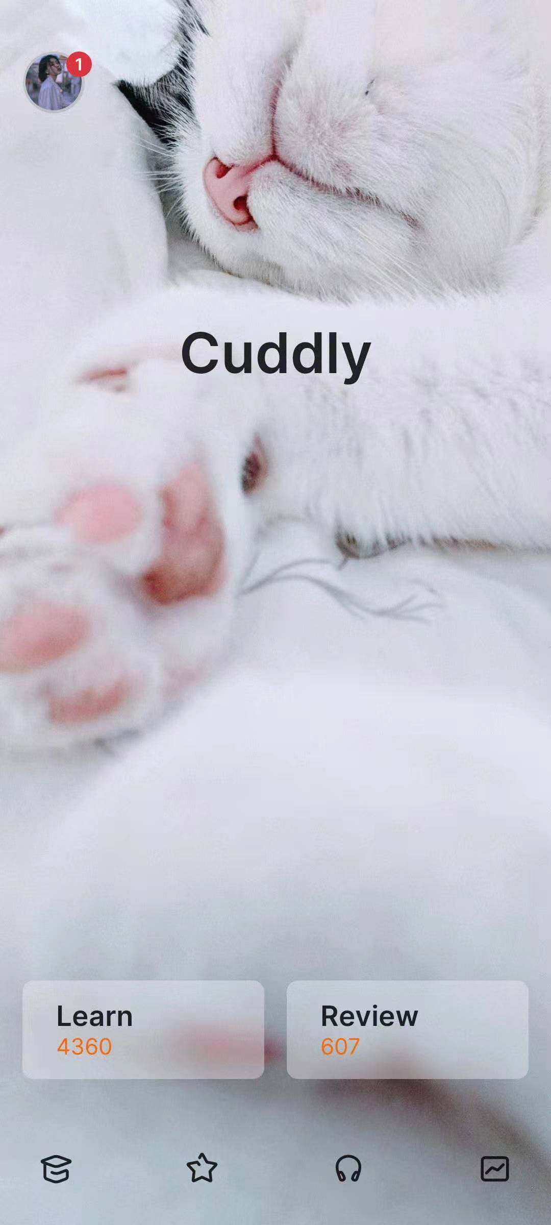 尼可的良心推荐丨我不允许还有人不知道这些超好用的学习APP