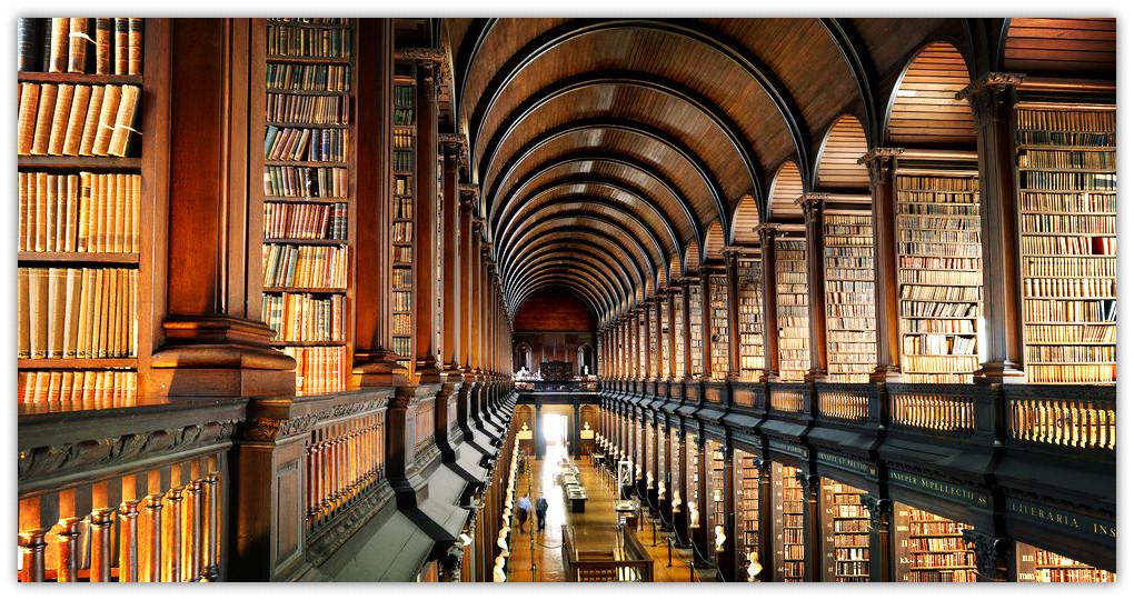 大学奇葩专业大汇总！母猪的产后护理简直弱爆了