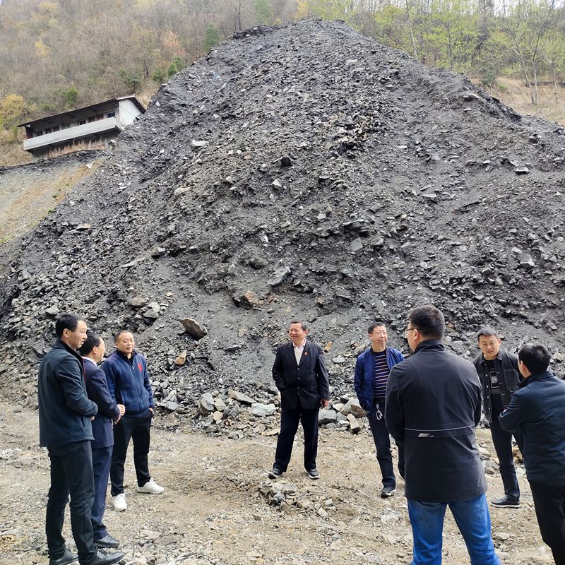 齐心协力、从根出发---镇巴法院高效办理两起行政公益诉讼案件
