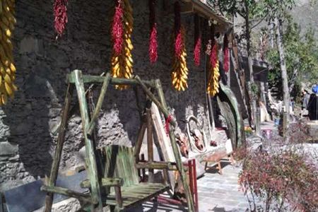 3所招专科生的乐山大学，分数线多少？