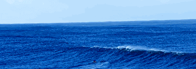 你对海洋了解吗？不要错过这个生物多样性环保创意大赛！