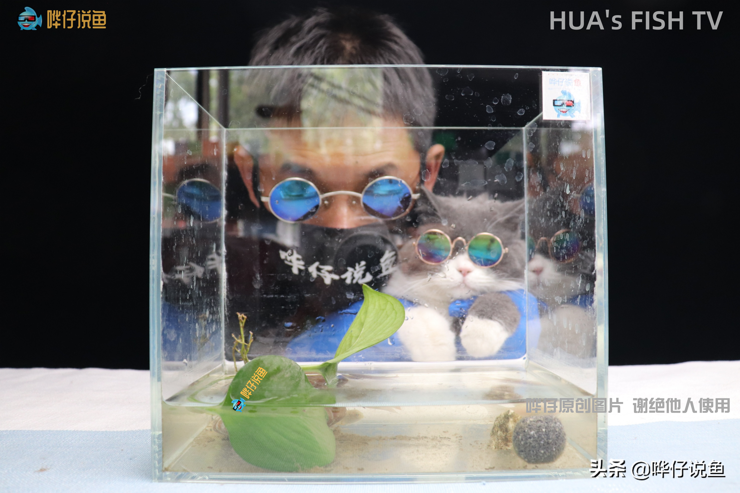 如何让鱼缸里漂浮的脏东西消失？彻底去除没办法，挑战极限有妙招