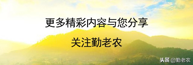 世界生态农业典范——这6个国家的生态农业做绝了