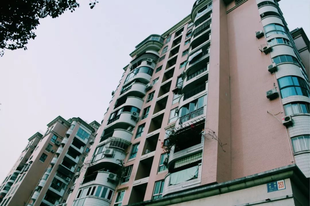 老破小一平10万+！我们走遍厦门18所名校，为你曝光最贵学区房！