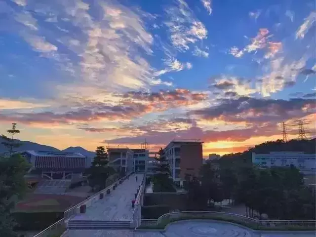 「深圳」外国语就是名校？福田区三朵外国语金花，谁更亮眼？