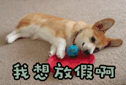 最长放43天！苏州中小学、高校寒假时间表来啦~